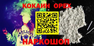 СК Брянск