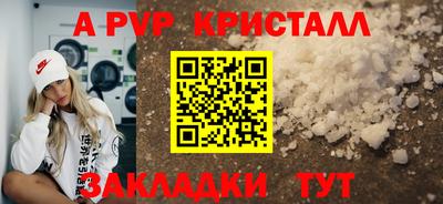 ECSTASY Аргун