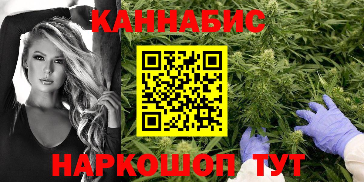Бошки марихуана SATIVA & INDICA  Марихуана план  Вход с VPN  Выборг  Каннабис SATIVA & INDICA 